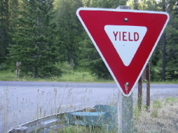 yield